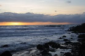mare