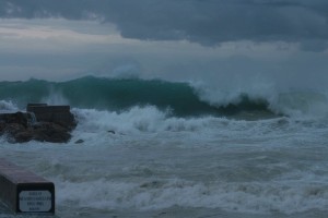 mare