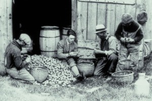 sbucciare patate